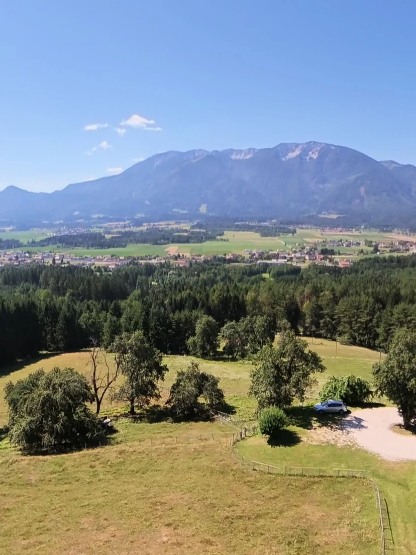 Luftaufnahme der Alleinlage von Ferienhaus Huber mit Wiesen, Wald und der Petzen