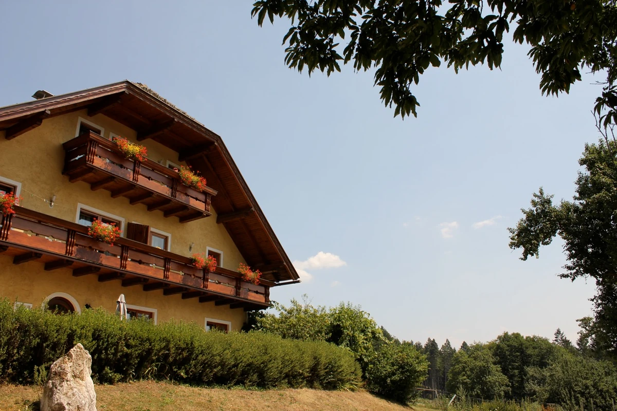 Das Ferienhaus im Sommer mit Blick ins Jauntal