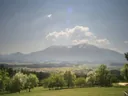 Blühende Blumen mit Bergpanorama