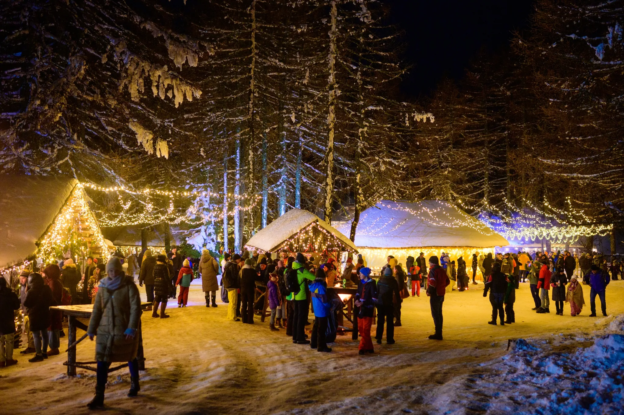 Christkindlmarkt auf der Petzen bei Nacht, Lichterketten zwischen verschneiten Bäumen