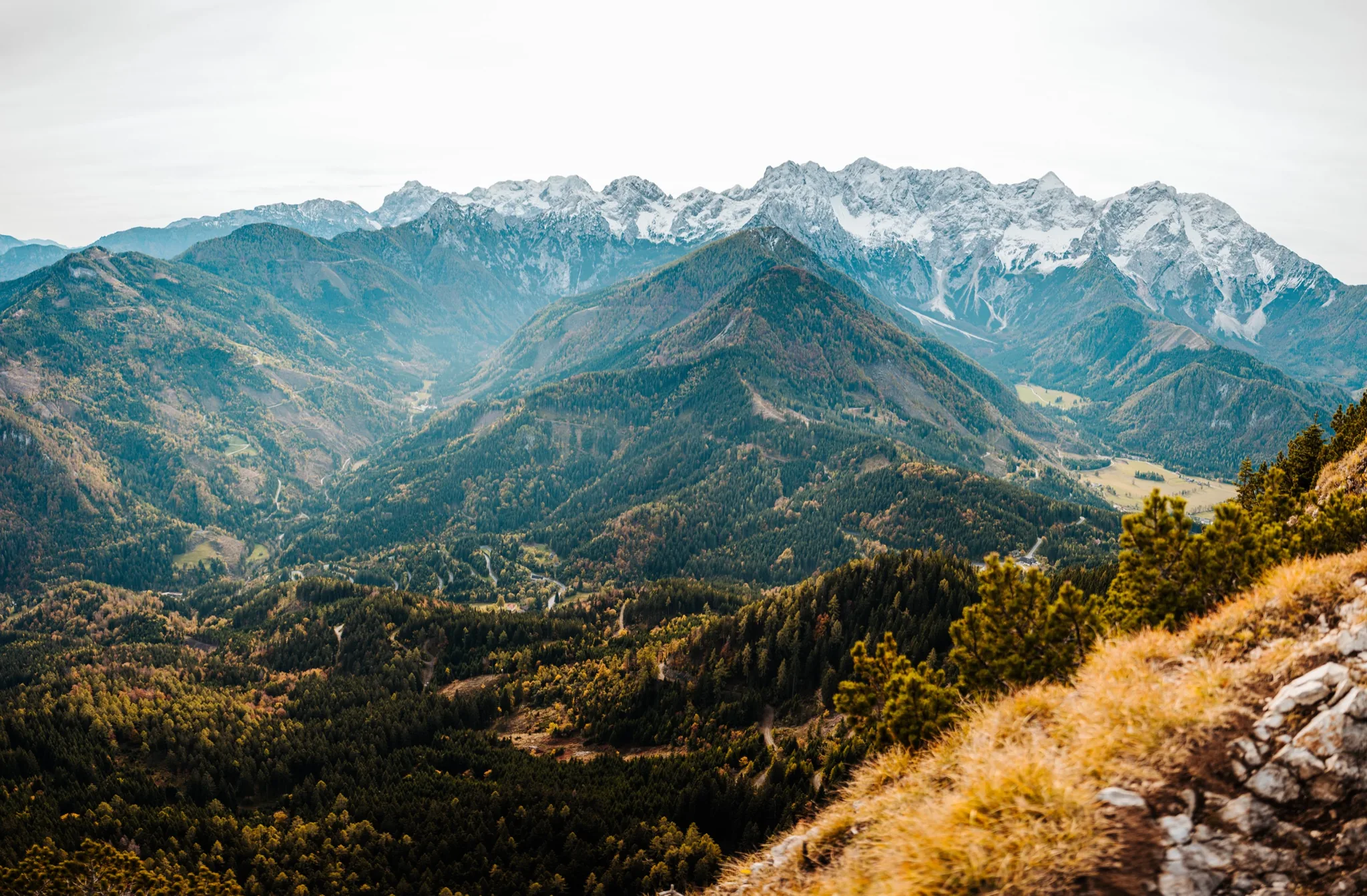 Herbstlicher Blick über die Wälder zu den verschneiten Karawanken