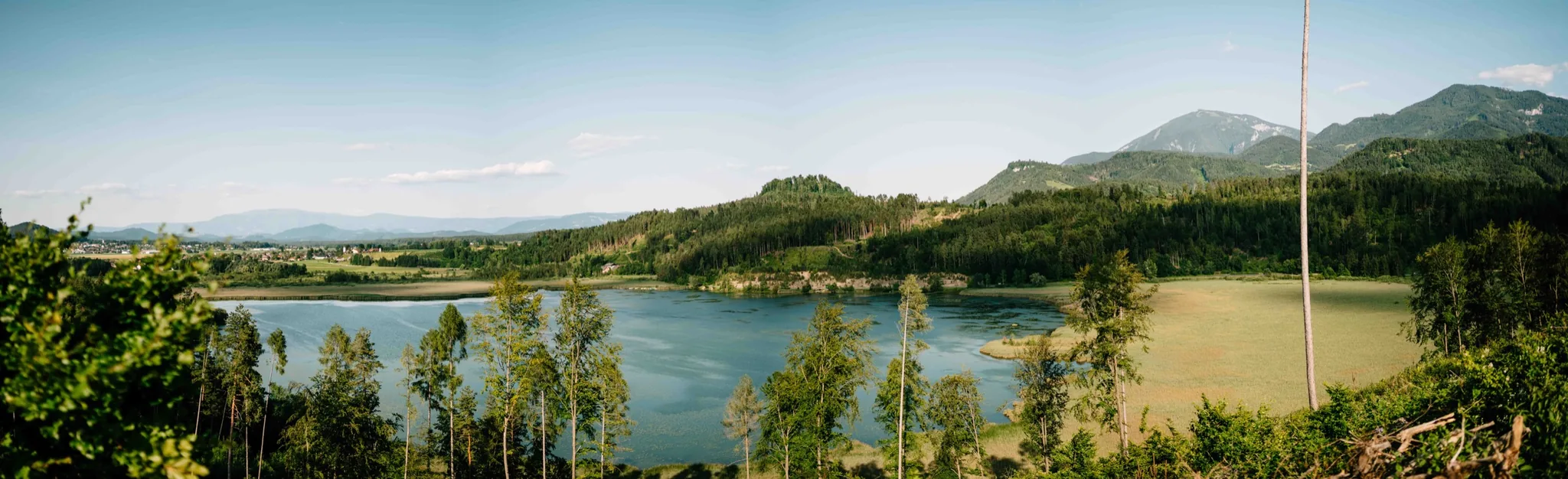 Der Gösselsdorfer See, von einem bewaldeten Hang aus gesehen