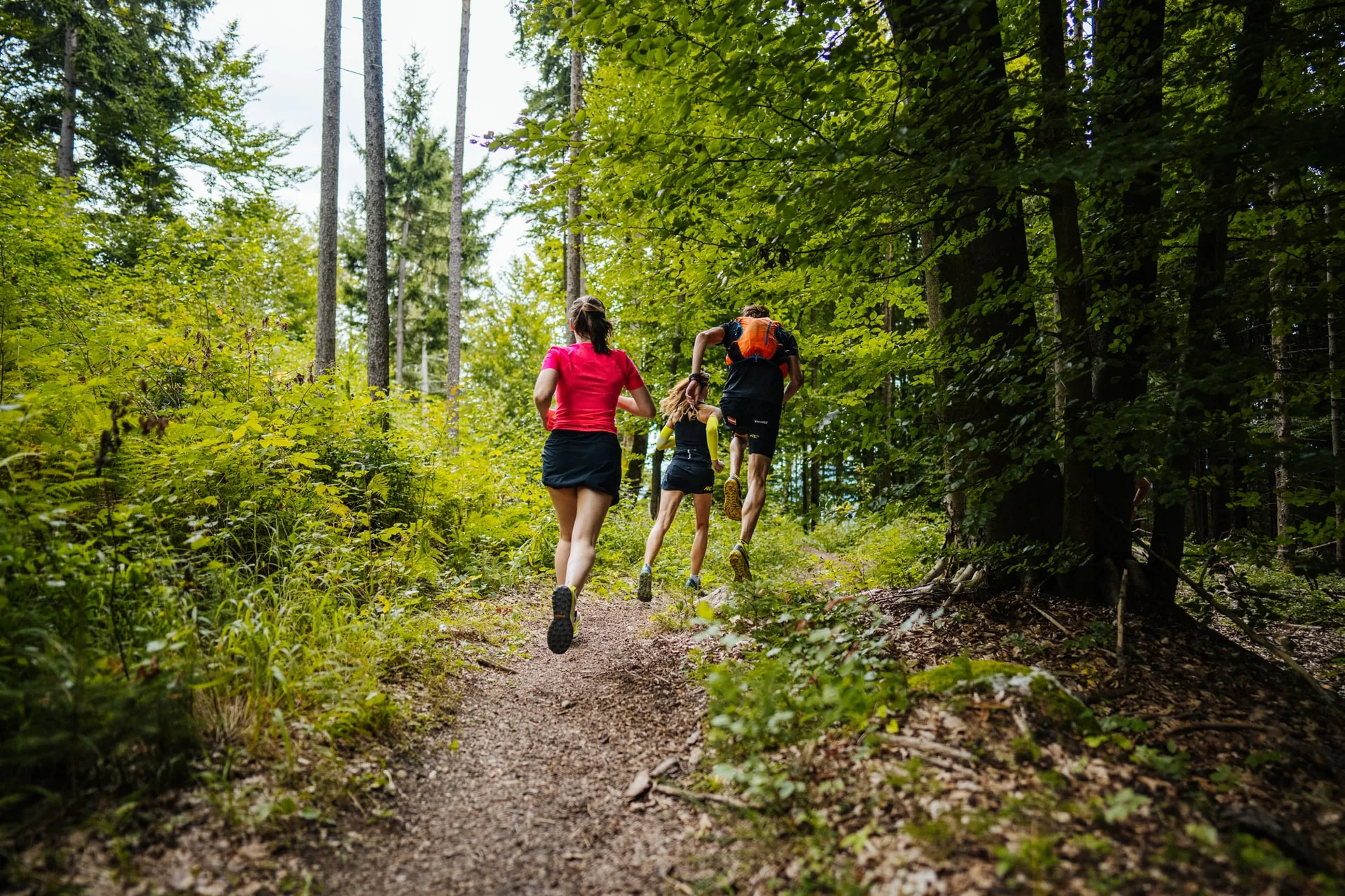 Läuferinnen und Läufer auf einem Waldweg am Kitzelberg