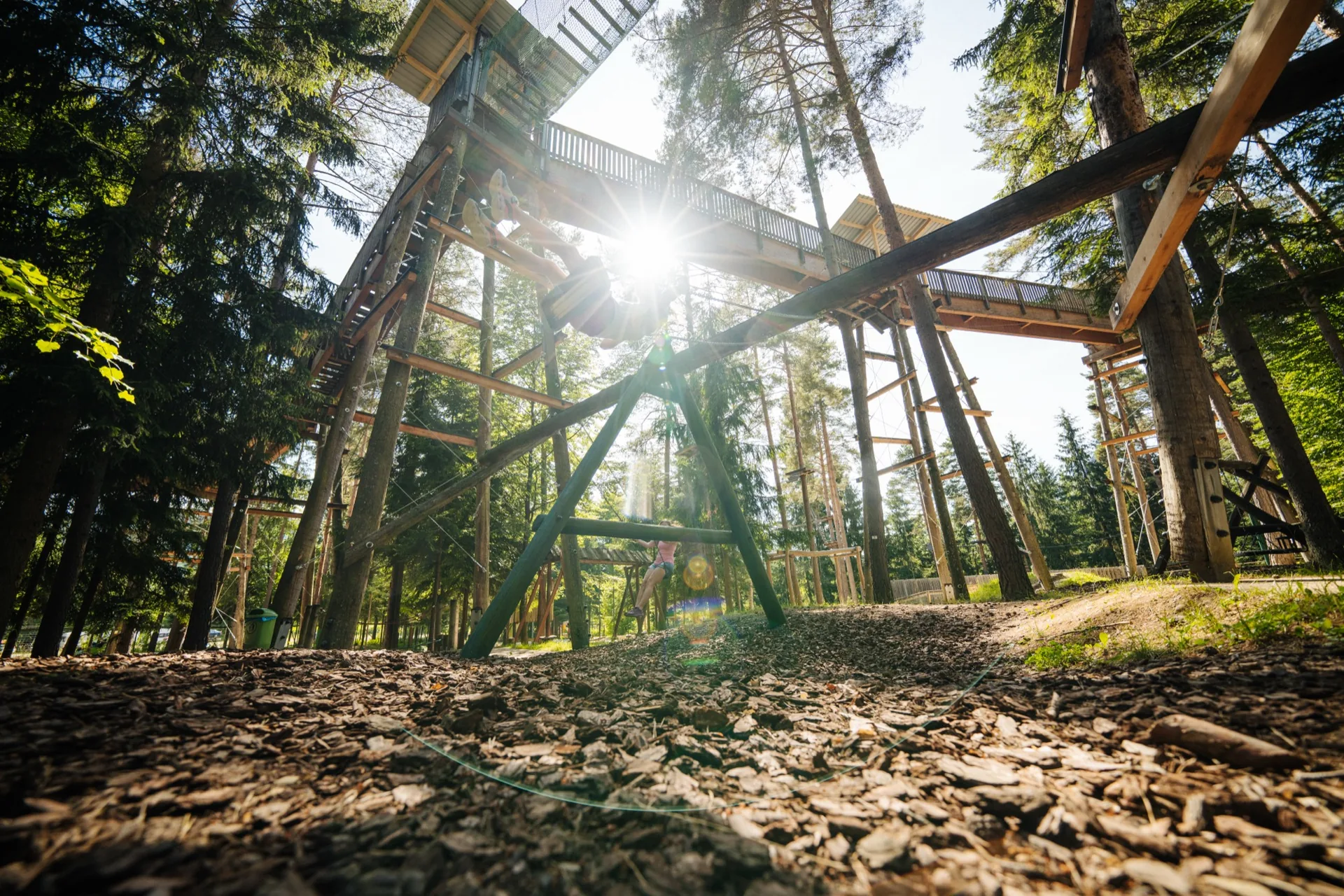 Baumwipfelpfad in der Walderlebniswelt am Klopeiner See