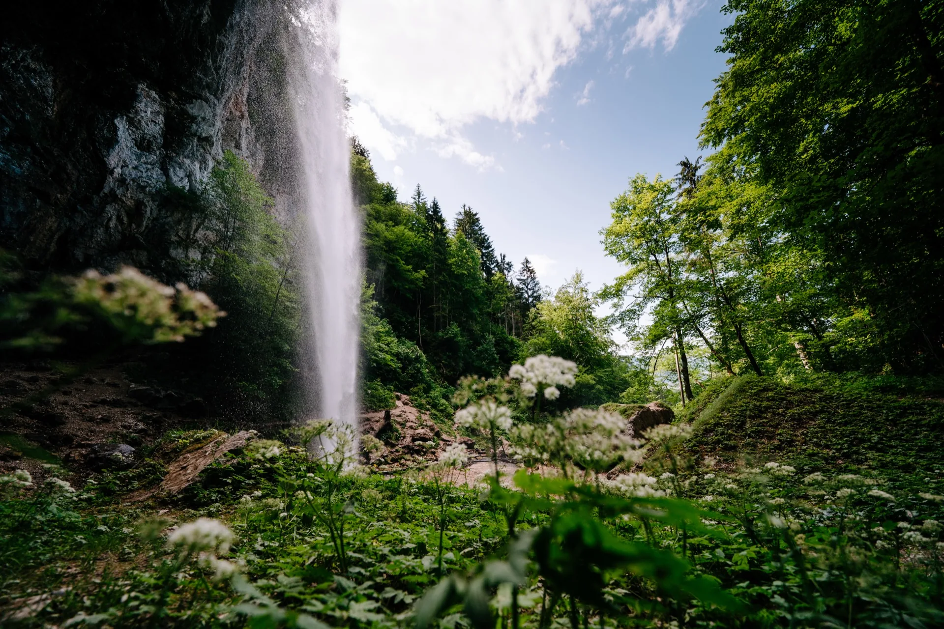 Wildensteiner Wasserfall im Wald bei Gallizien