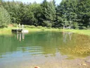 Der eingezäunte Naturteich mit Holzsteg