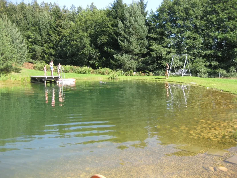 Steg und Naturteich mit klarem Wasser