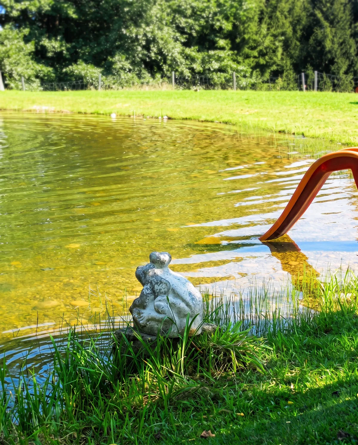 Wasserrutsche und Froschfigur am Naturteich