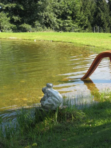 Wasserrutsche und Froschfigur am Naturteich