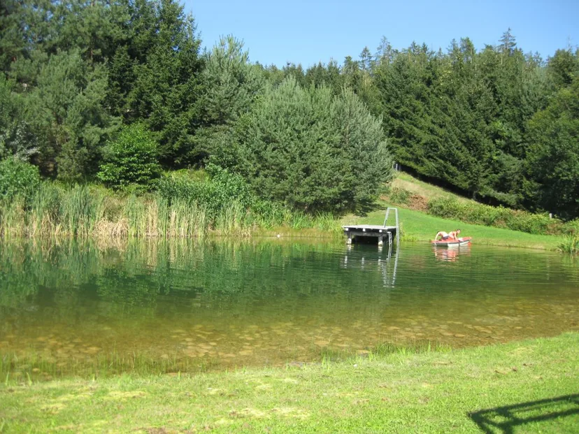 Naturteich vor bewaldetem Hang