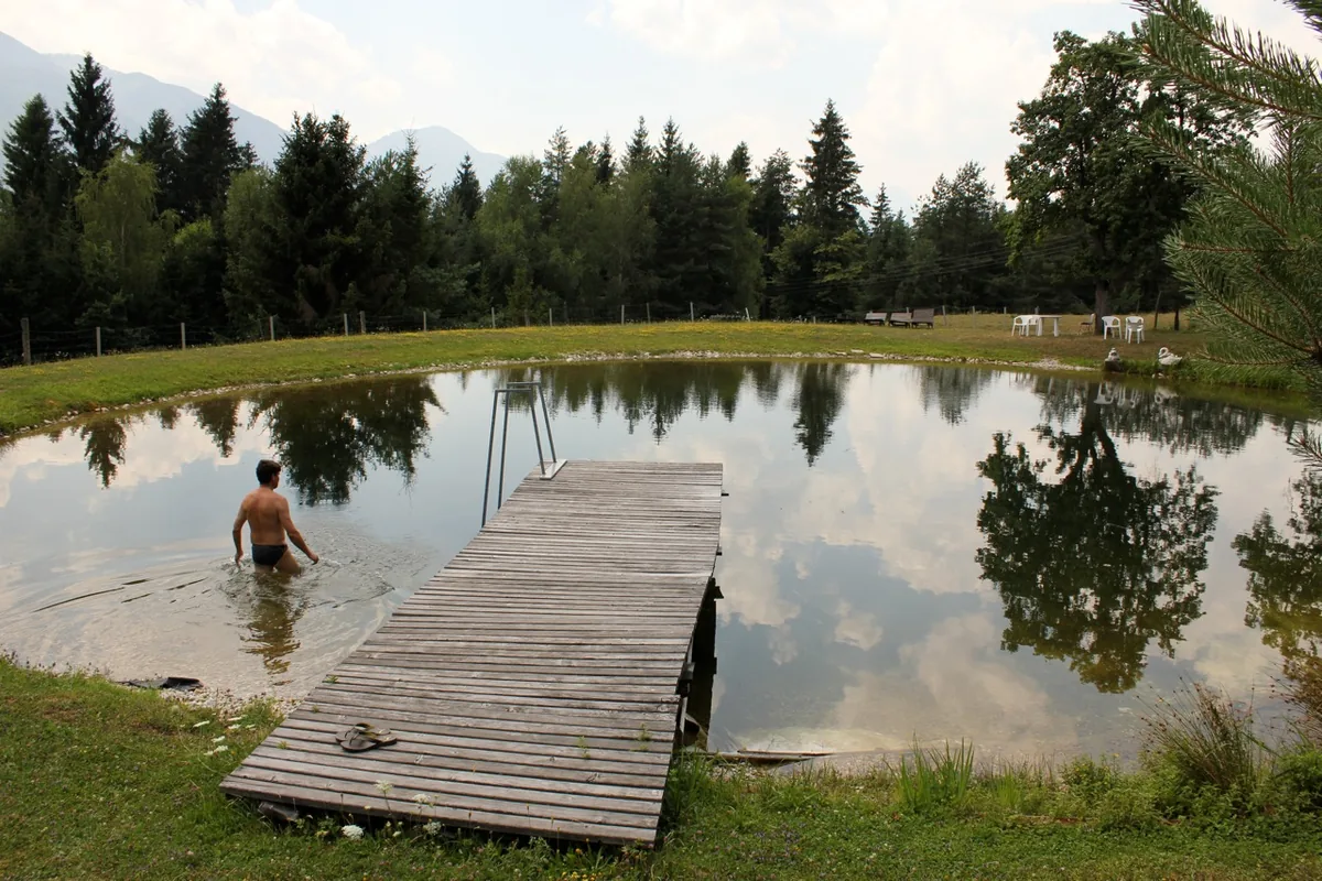 Privater Naturteich