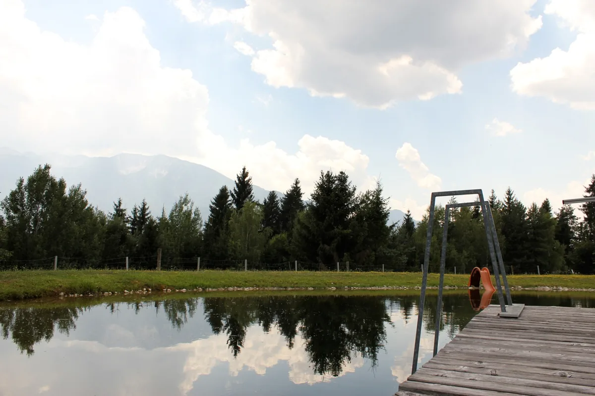 Privater Naturteich mit Holzsteg und Bergblick